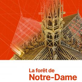 La forêt de Notre-Dame # Tours @ Musée du Compagnonnage | Tours | Centre-Val de Loire | France